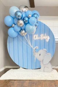 Baby Shower and Gender reveal (5)