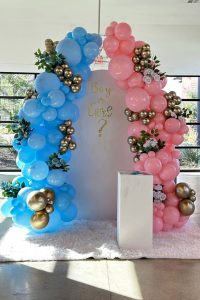 Baby Shower and Gender reveal (7)